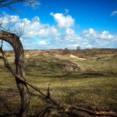 Vila Hogezoom 131 Renesse Exteriér fotografie