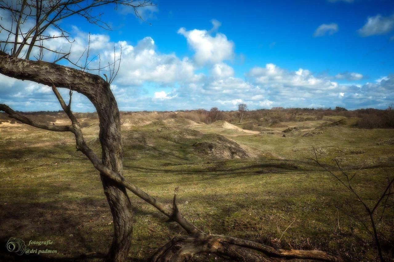 Vila Hogezoom 131 Renesse Exteriér fotografie