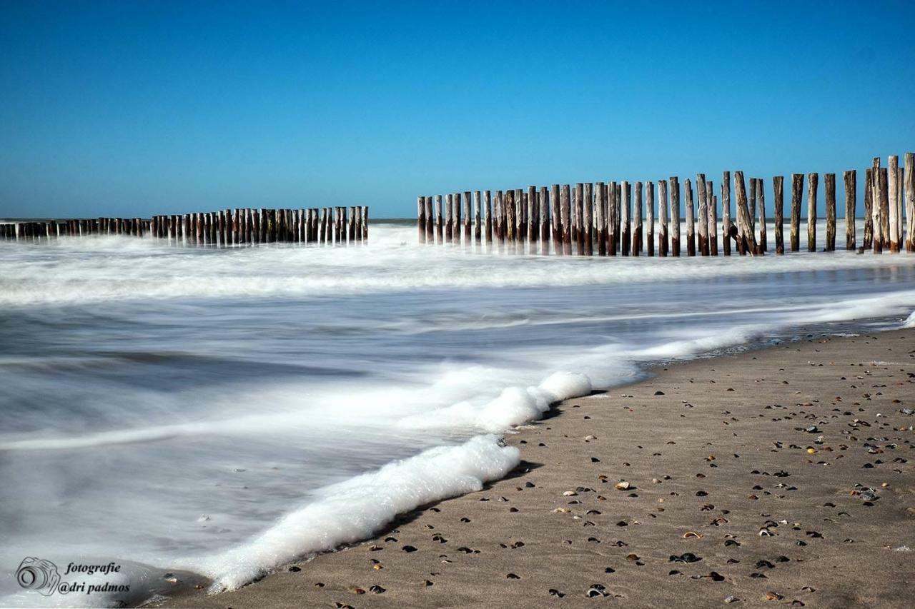 Vila Hogezoom 131 Renesse Exteriér fotografie