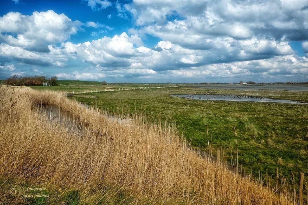 Vila Hogezoom 131 Renesse Exteriér fotografie